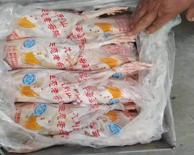 老母鸡