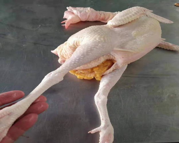 老母鸡