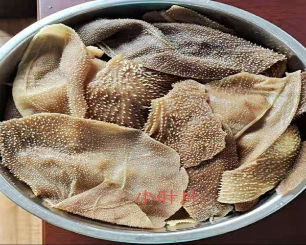 牛毛肚